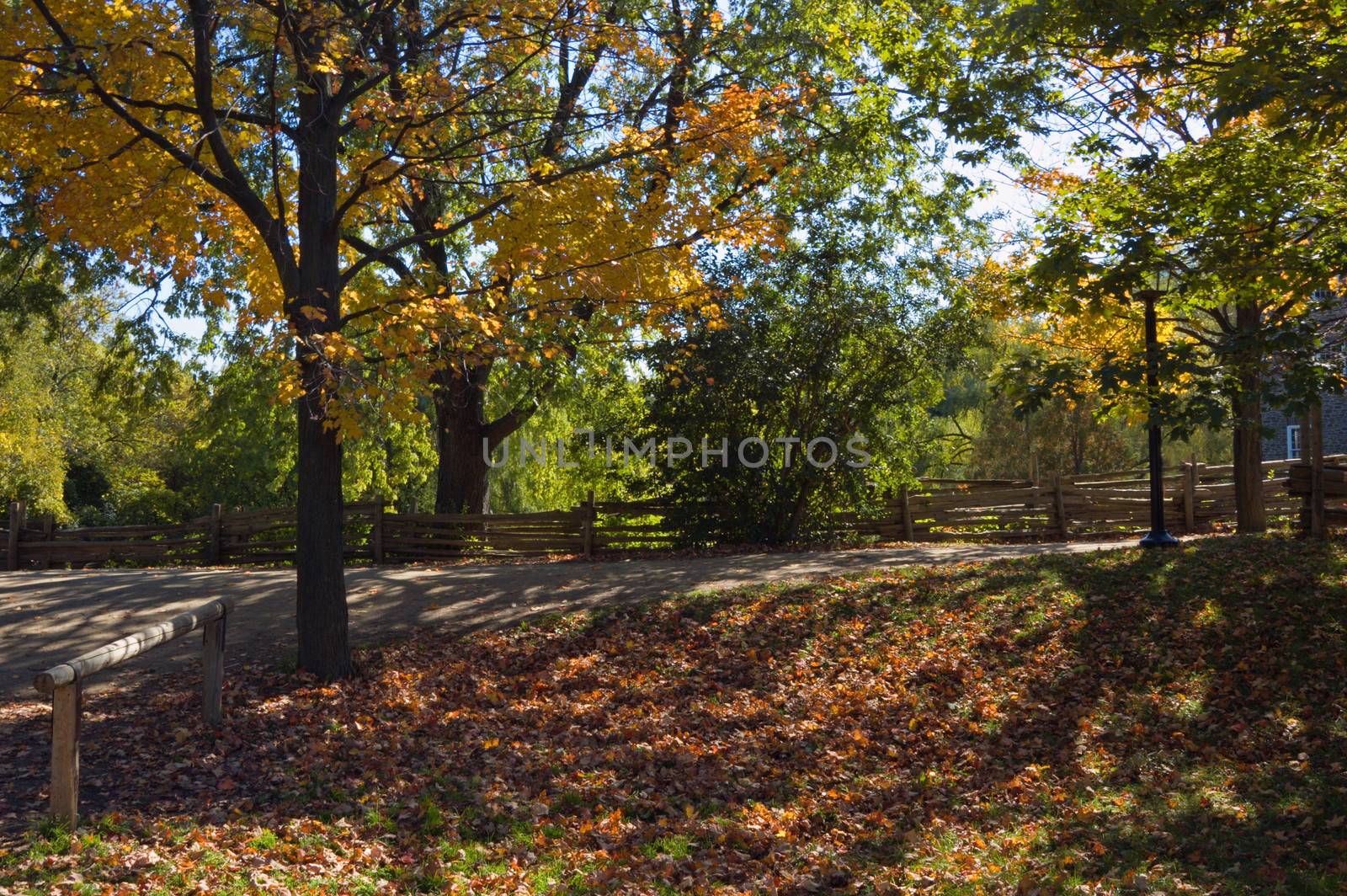 Fall's colors on a street of small village.