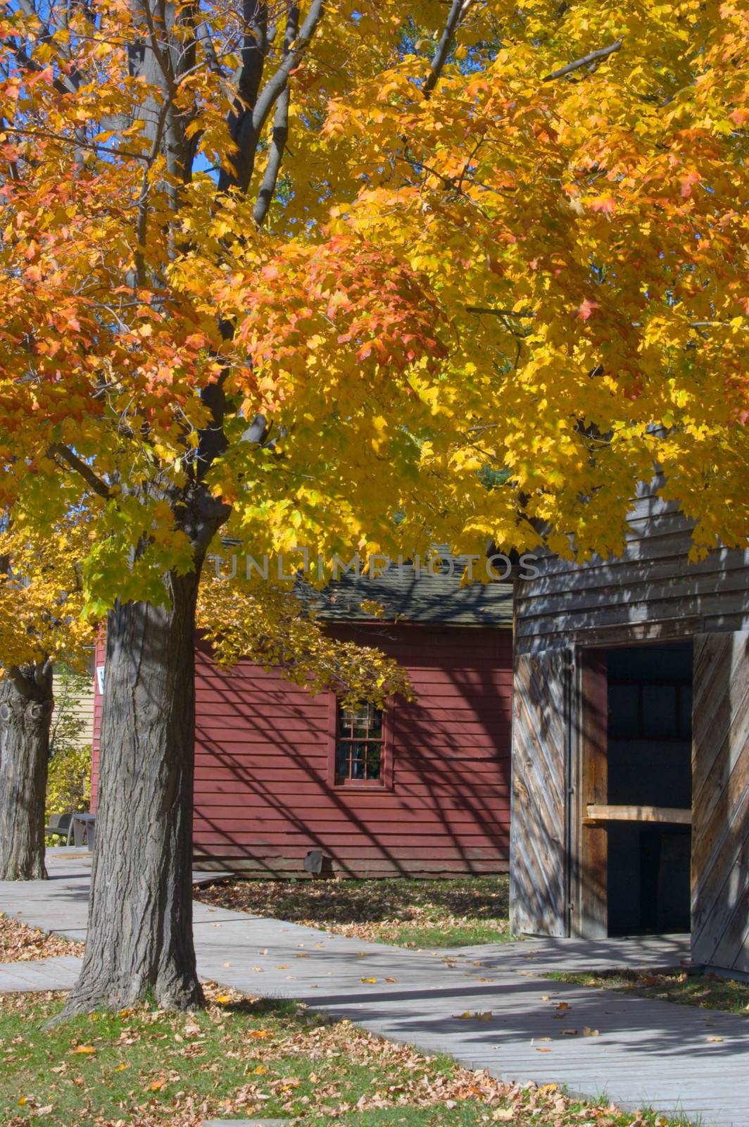 Fall's colors on a street of small village.