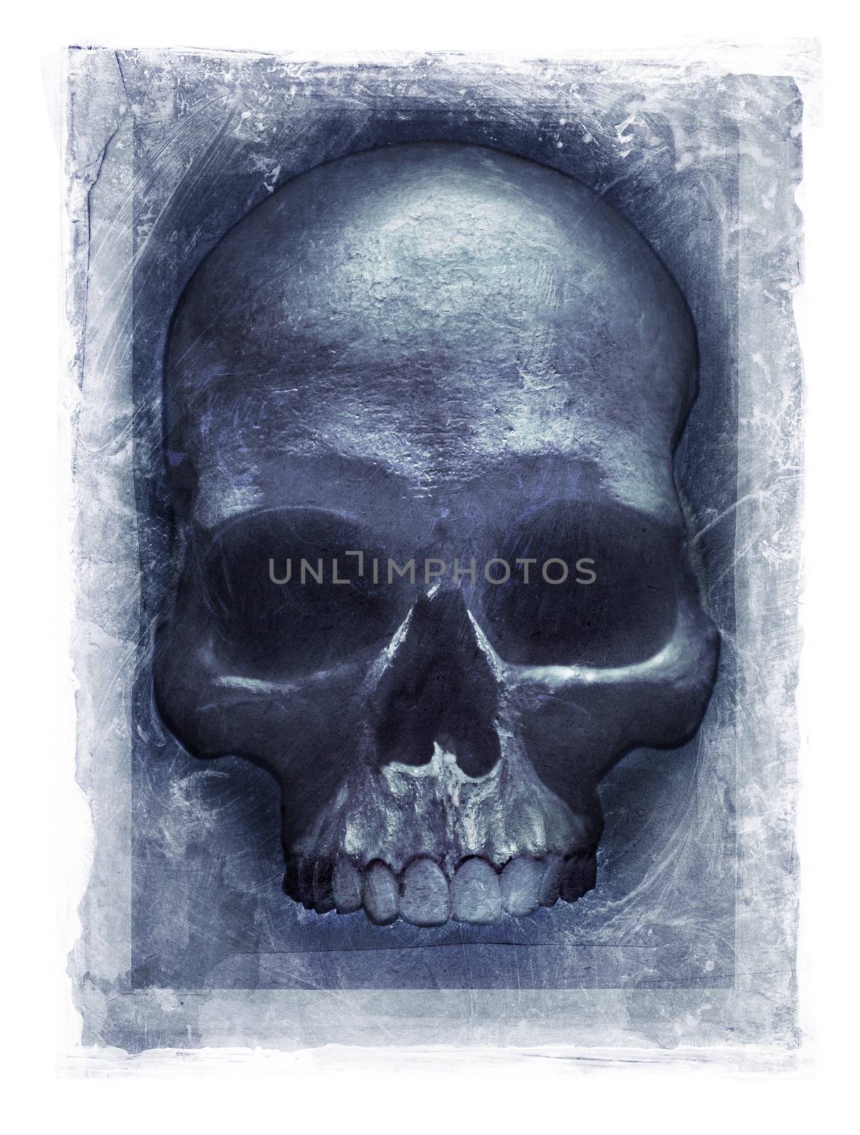 Grainy and gritty photomanipulation of a human skull