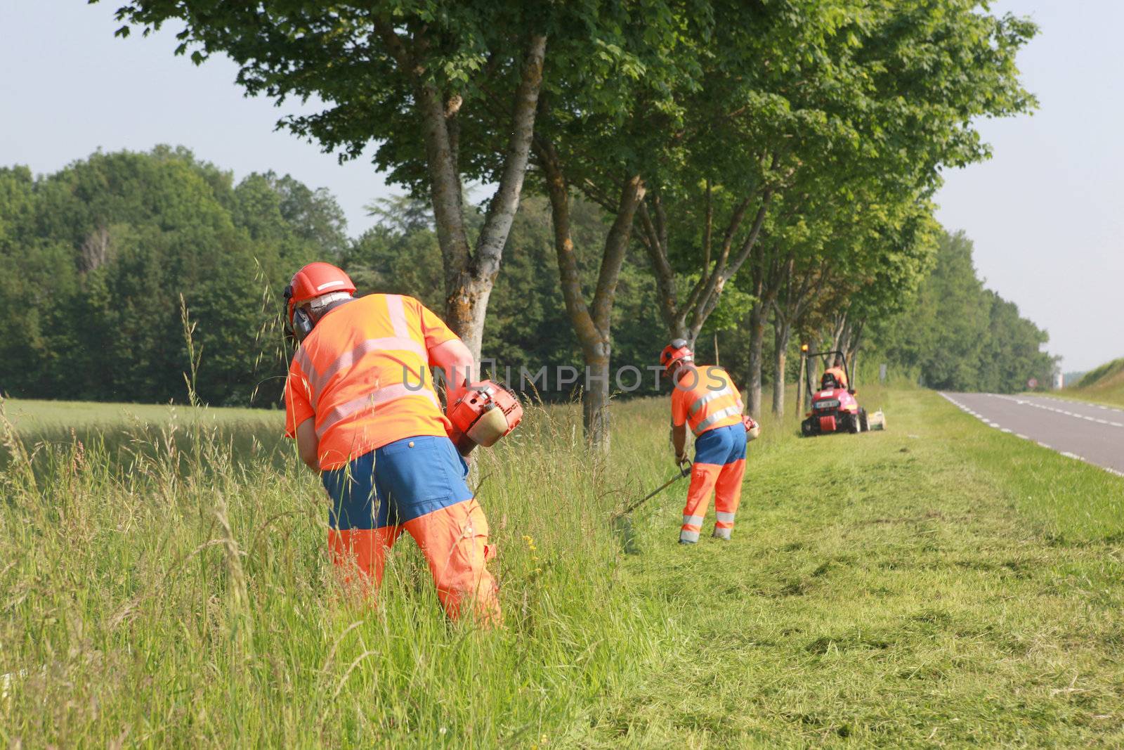 Gardeners by the road side