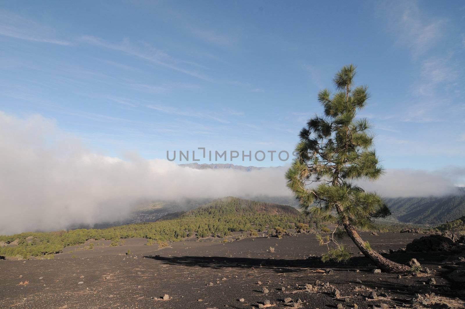 Over the White Clouds on a Valley on a Volcanic Island