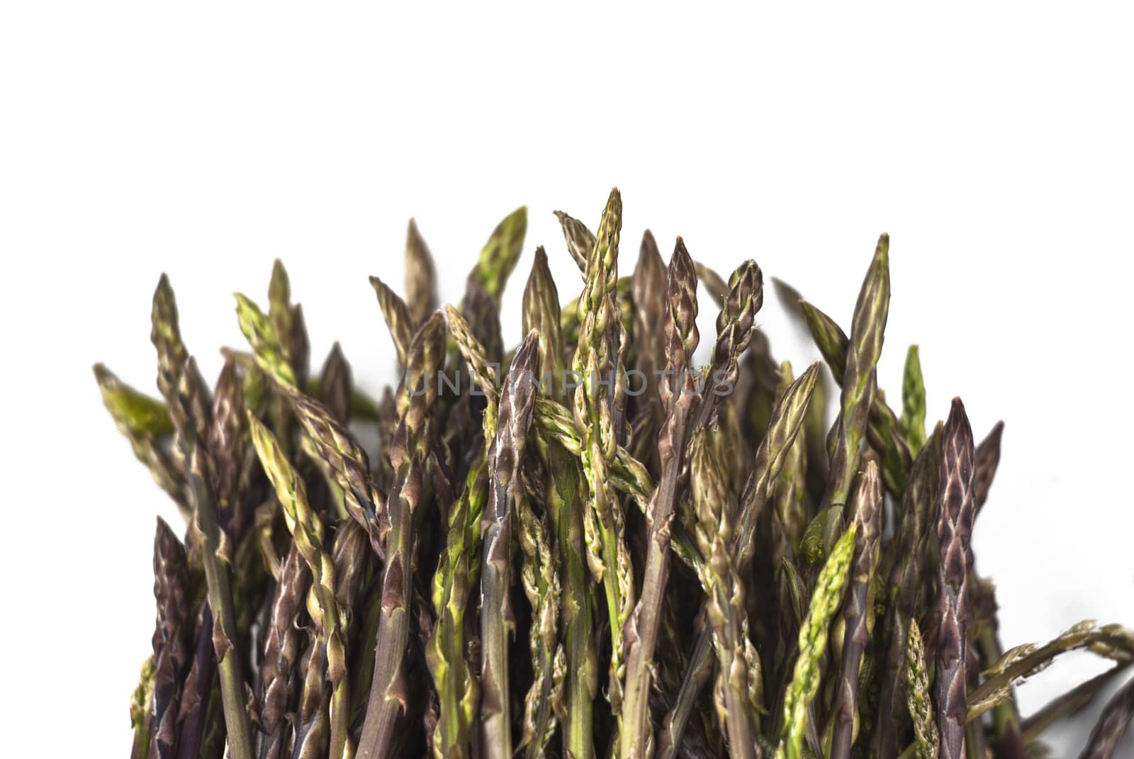 Fresh asparagus isolated on white