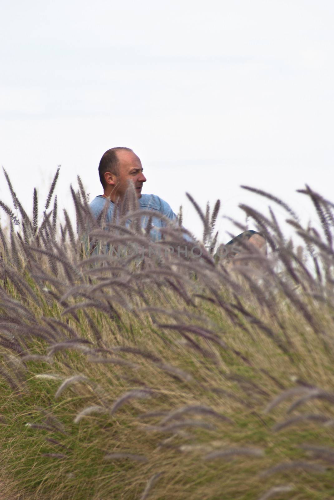 handsome man sitting in a field of wheat by gandolfocannatella