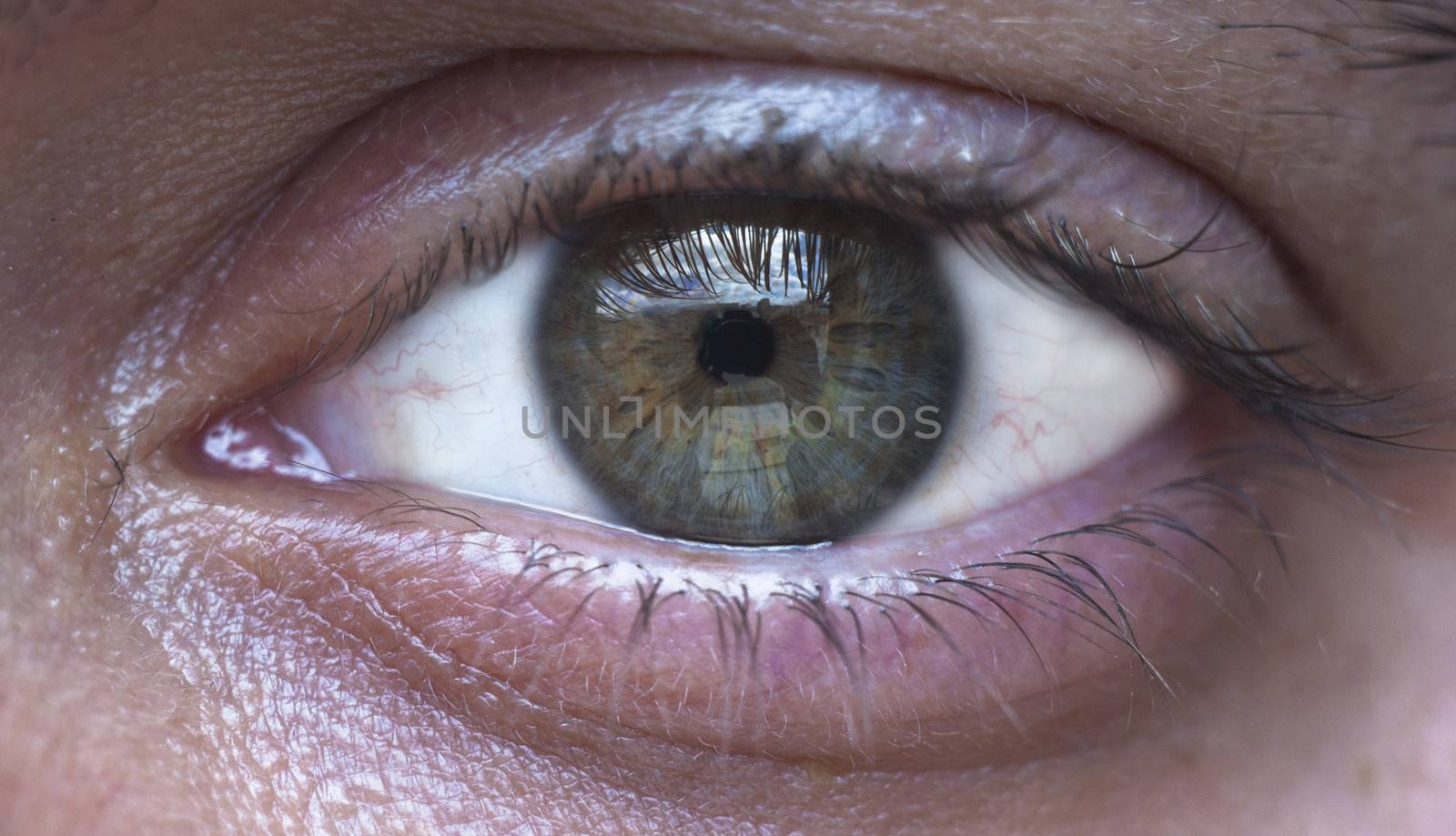 green eye of man, close-up
