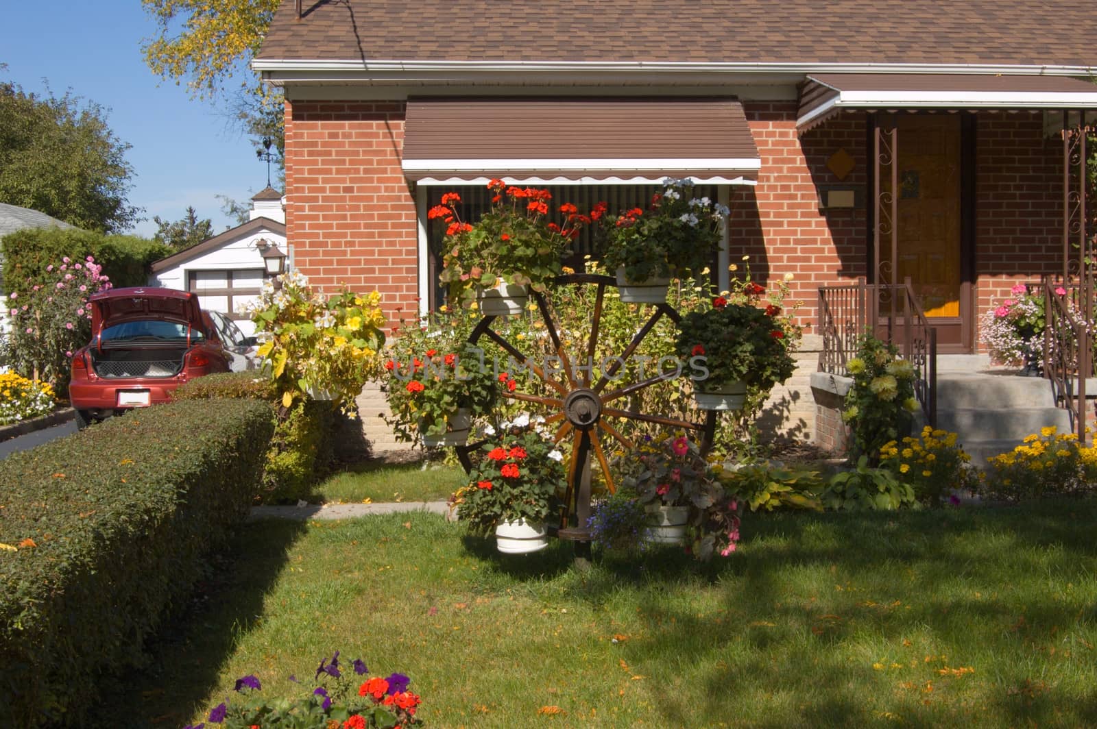 Beautiful front yard of a hause in Toronto