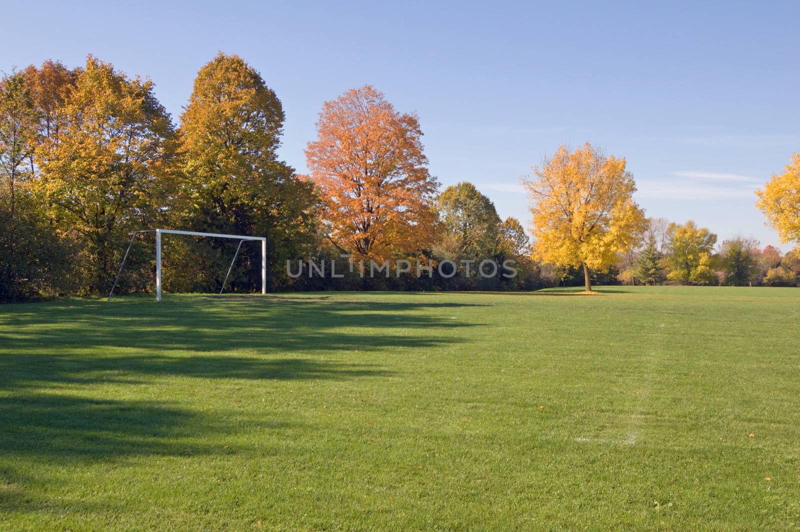 Green grass, soccer goal and colorful trees in one of Toronto park