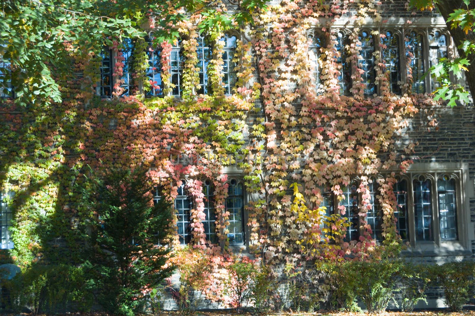 Old style building in street of Toronto
