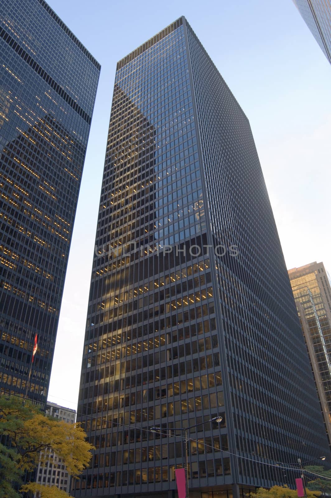 glass wall of a high-rise building in downtown Toronto