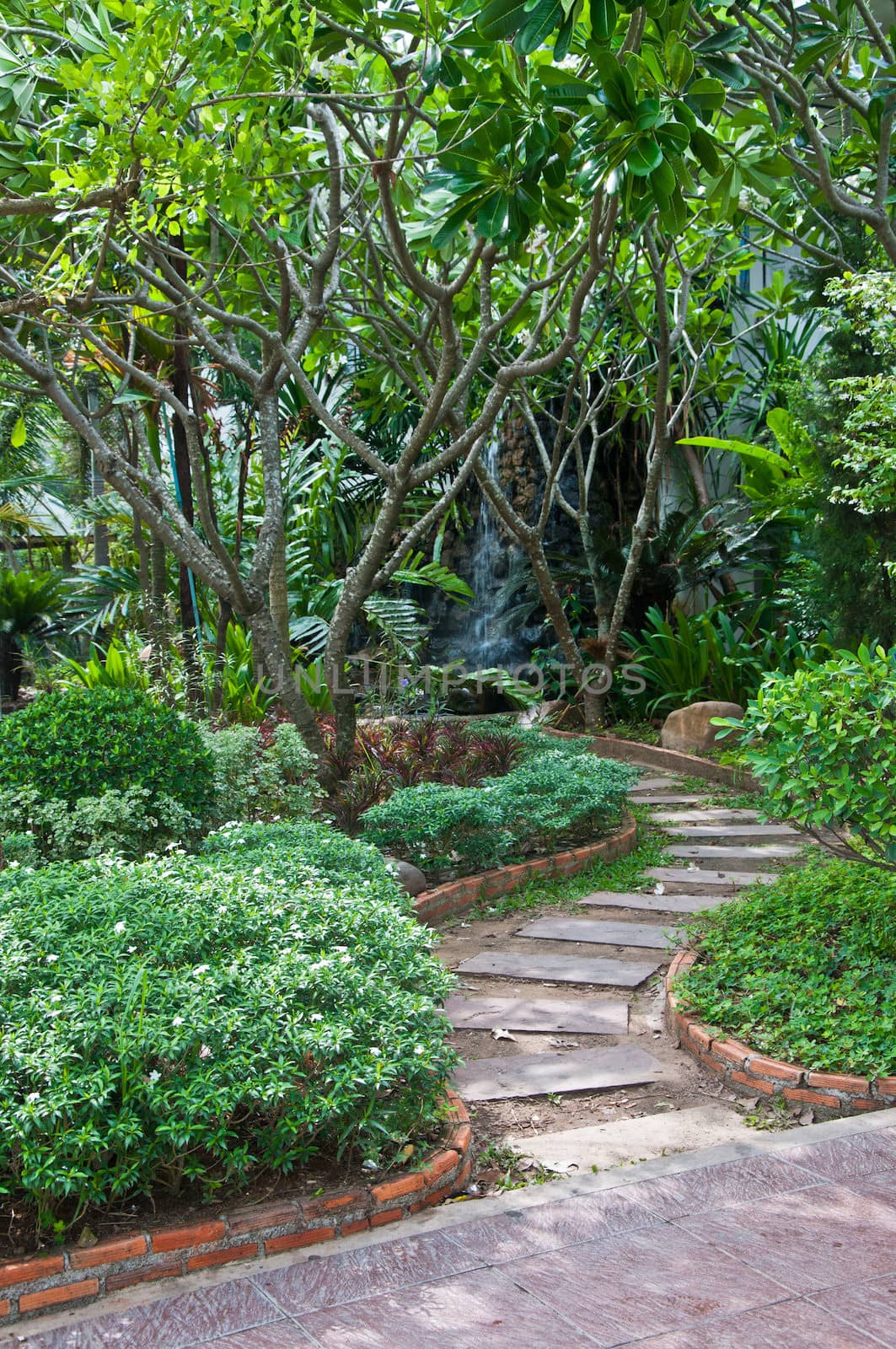 The garden and waterfall decorated