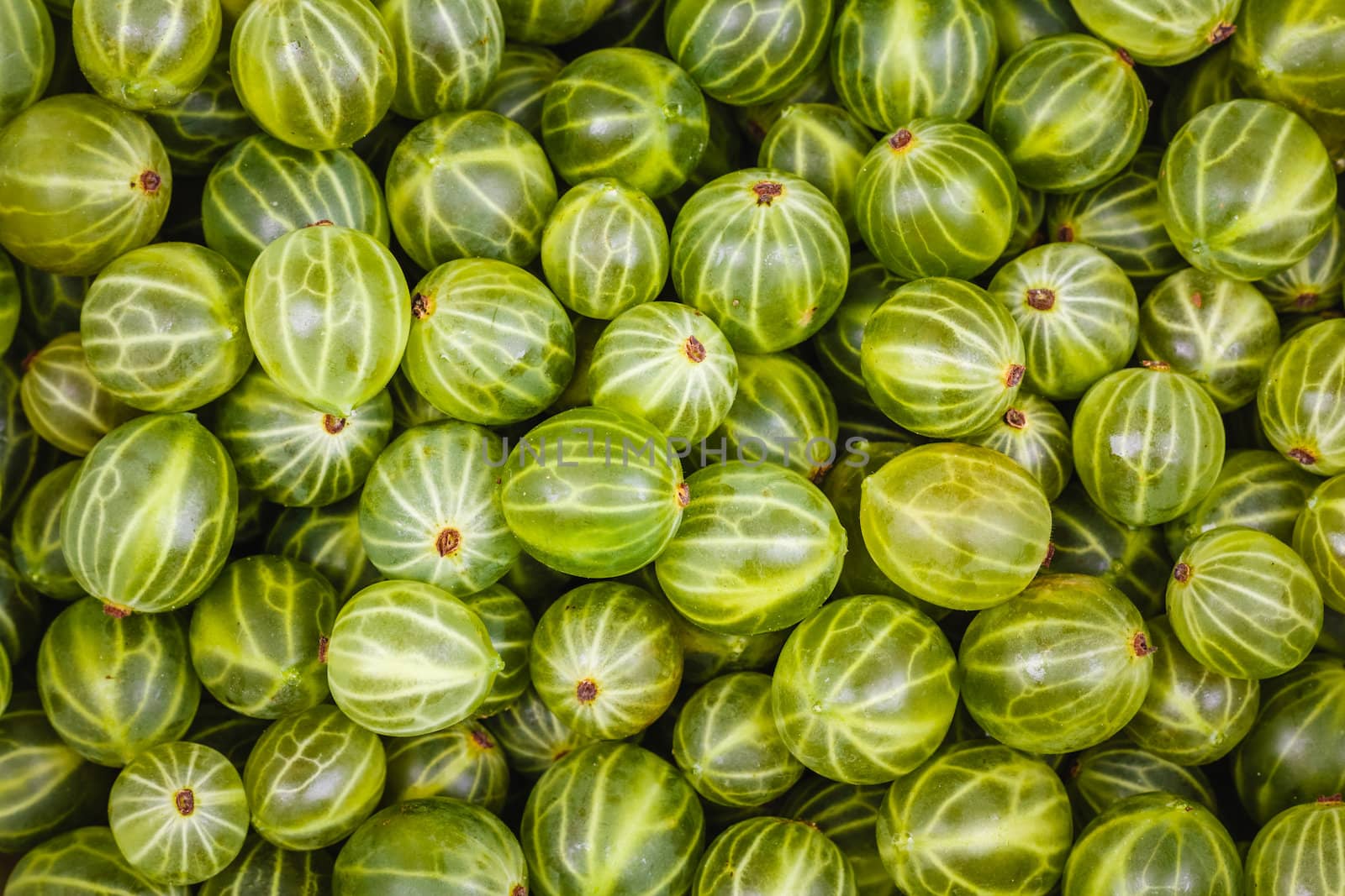 Sweet Fresh Gooseberries Closeup Background.