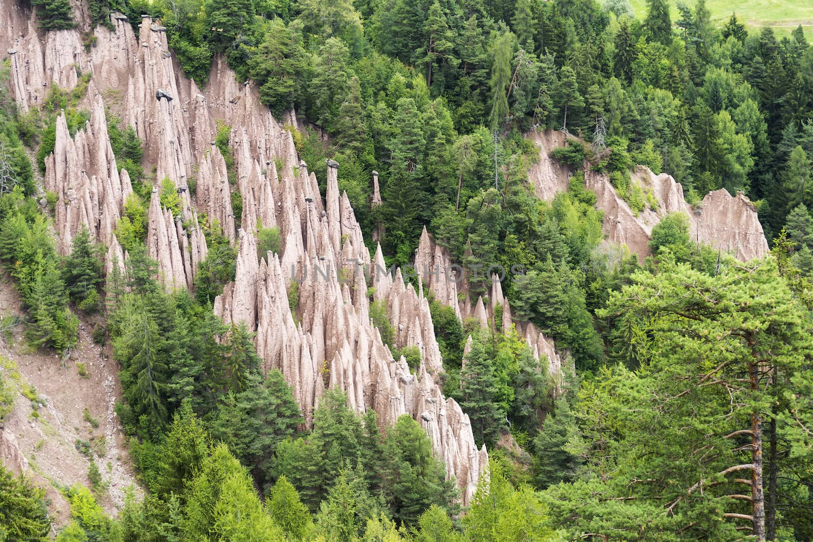 earth pyramids near Renon - Bolzano, Trentino-Alto Adige, Italy