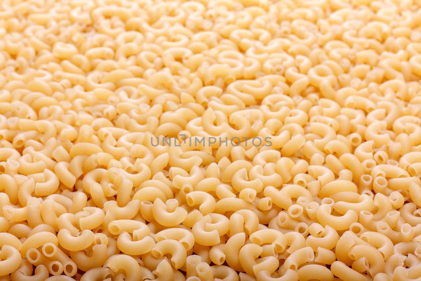 Italian Pasta Close Up. Food Background Texture.