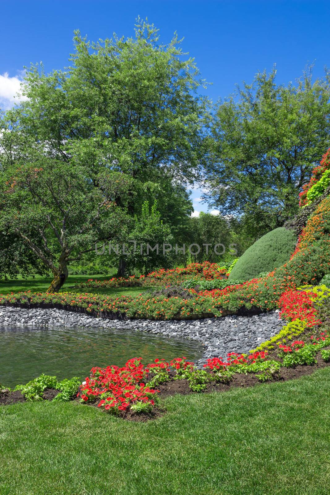 Bright summer garden with pond, trees and bright flowers.