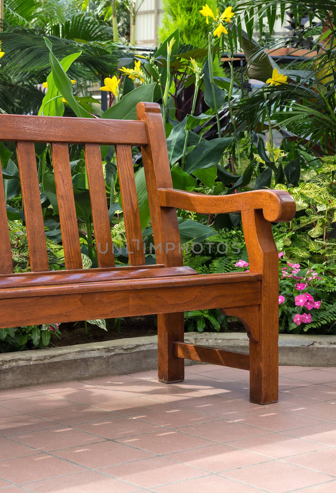 Wooden bench in the tropical sunny garden.
