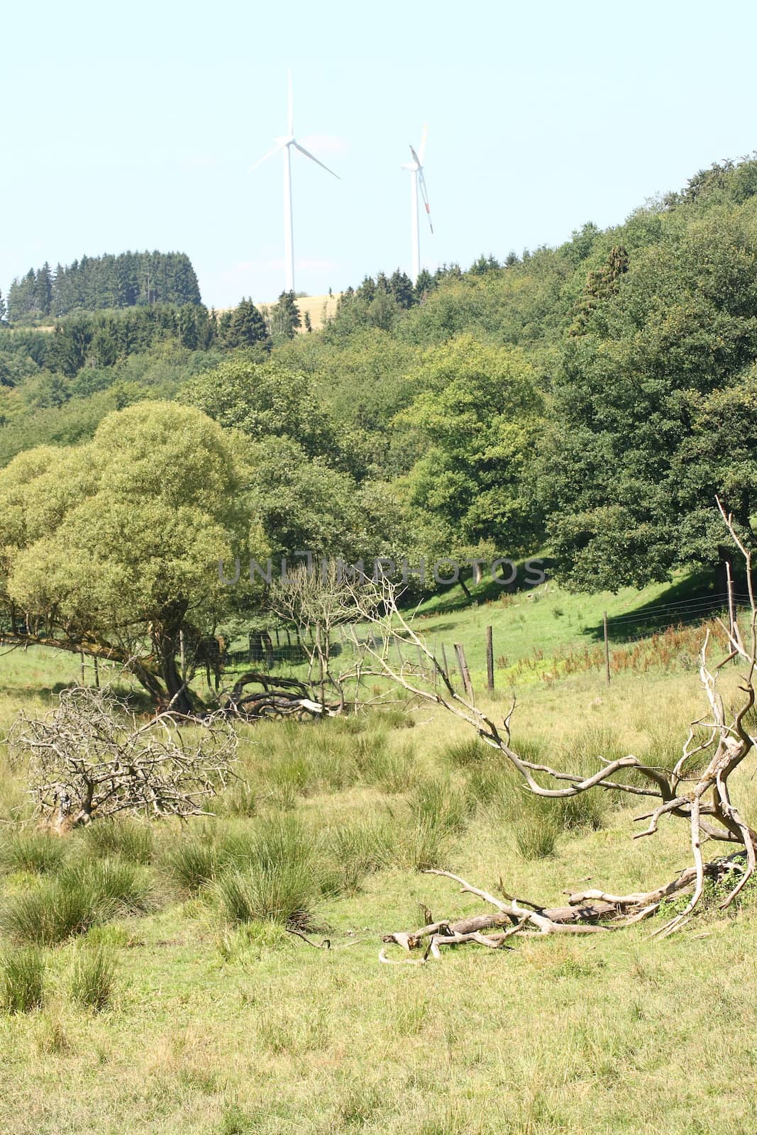 Romantic mountain valley, with two wind turbines in background