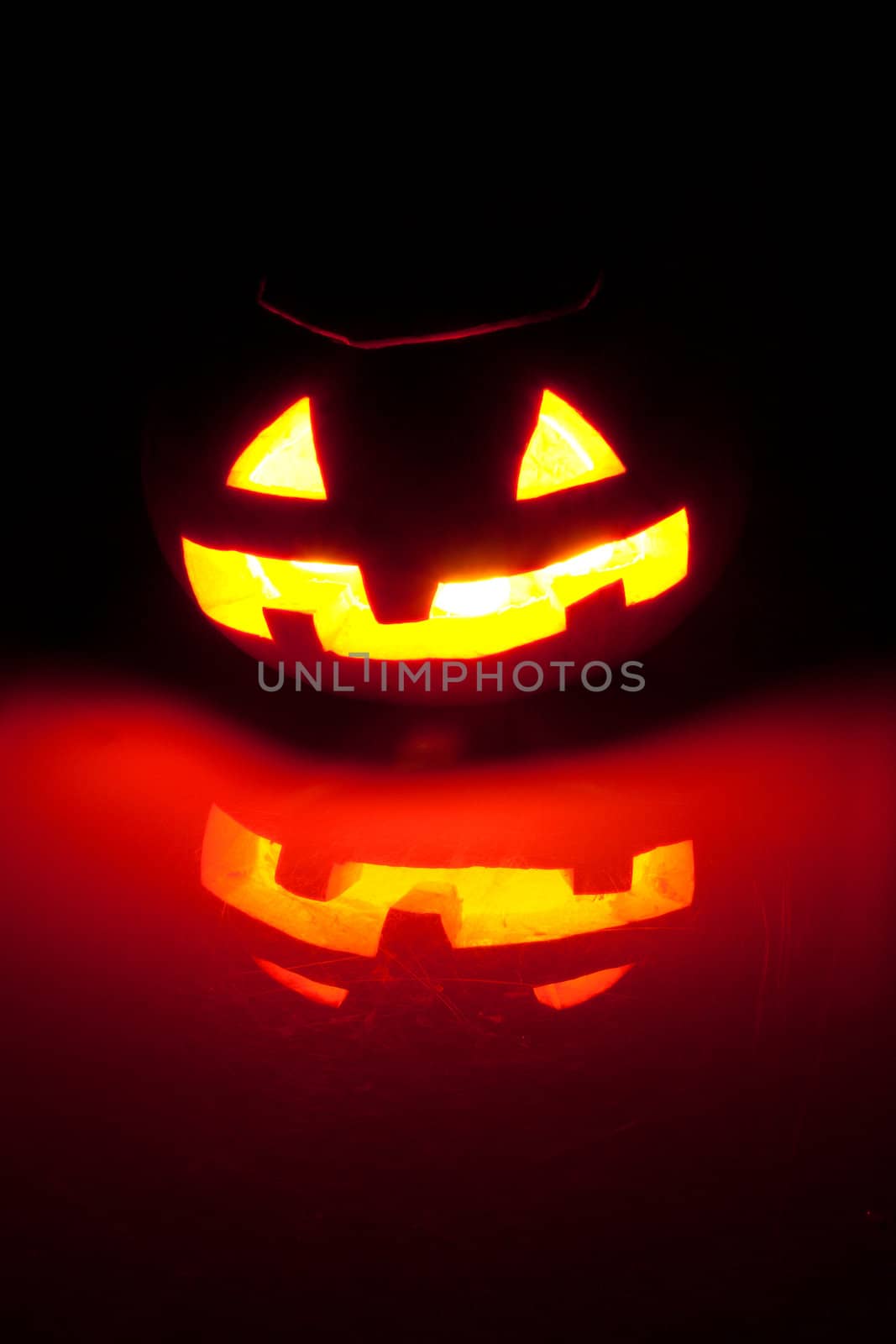 Halloween pumpkin photo on the black background