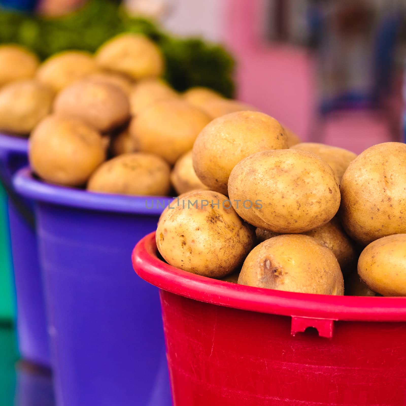 Potatoes at local market by ryhor