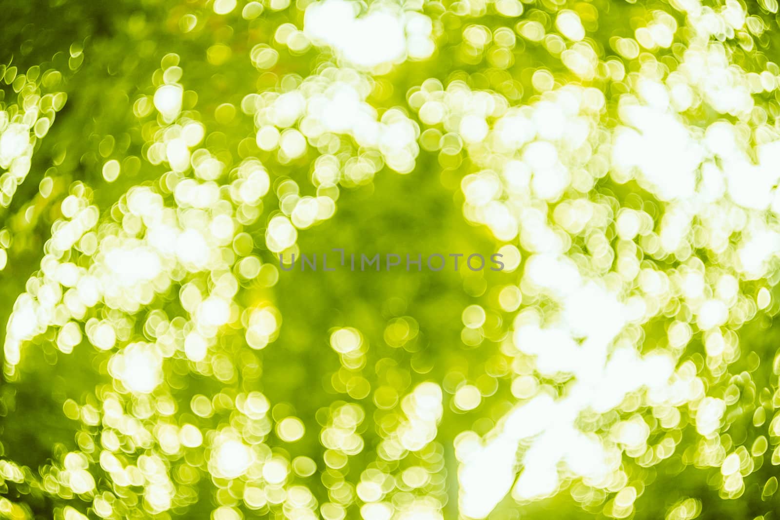 Spring bokeh background by ryhor