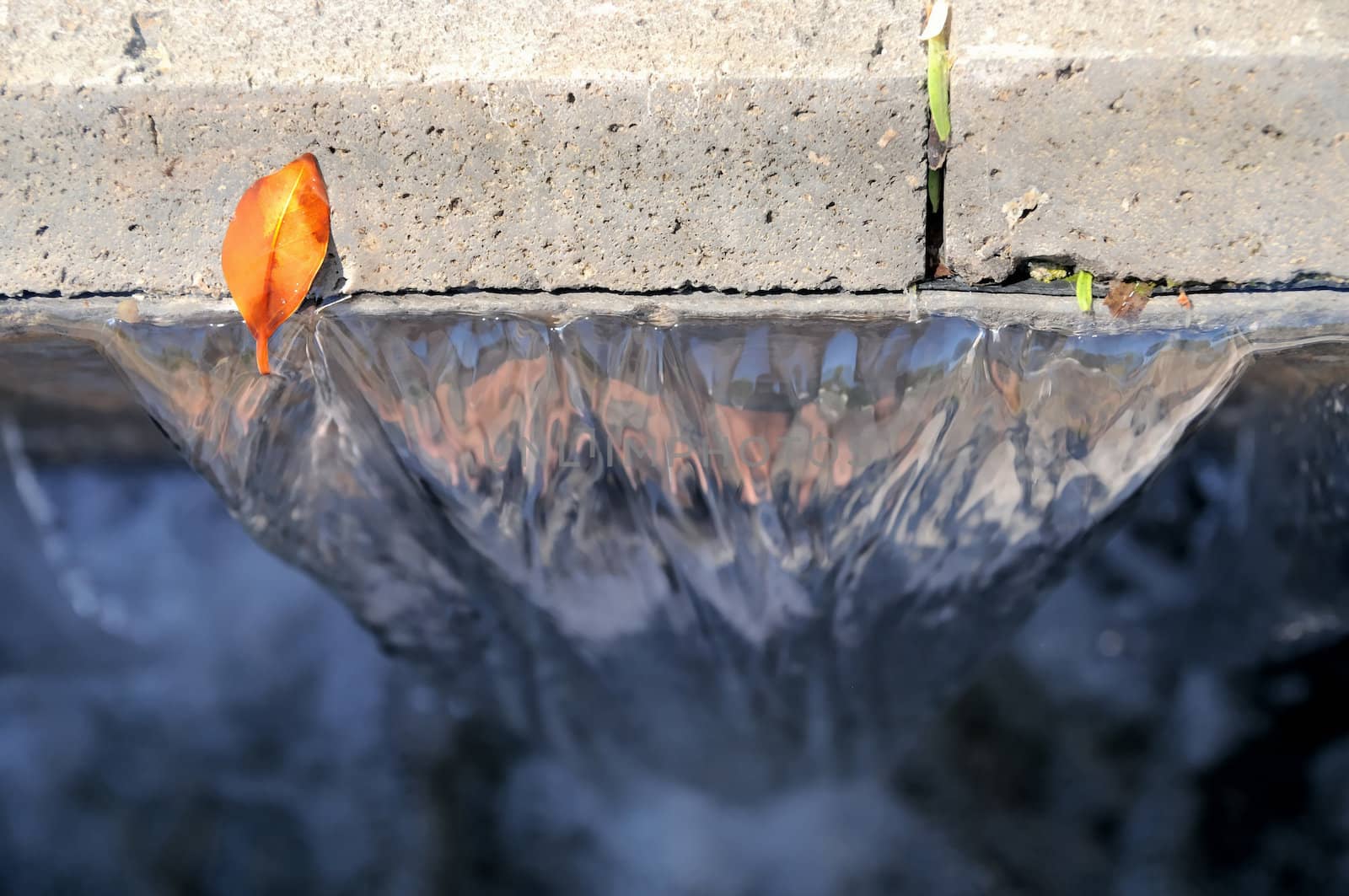 Leaf and Waterfall by underworld