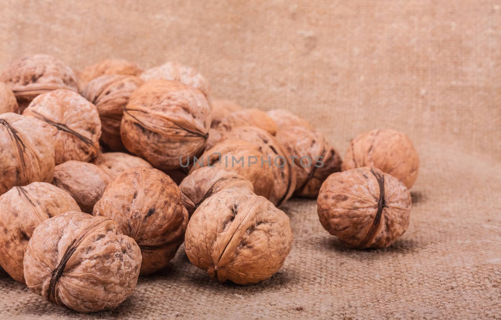 Walnuts Close-up On The Sackcloth Background  by ryhor