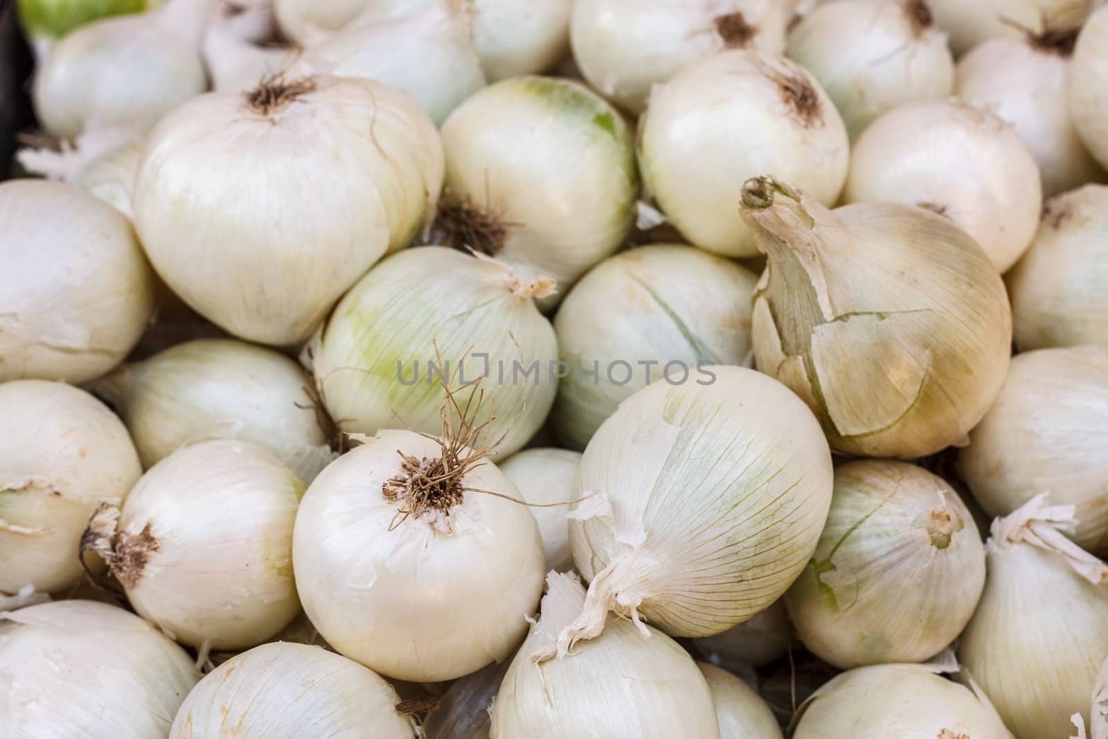 Onion pile on the local market. White onions crop. Background