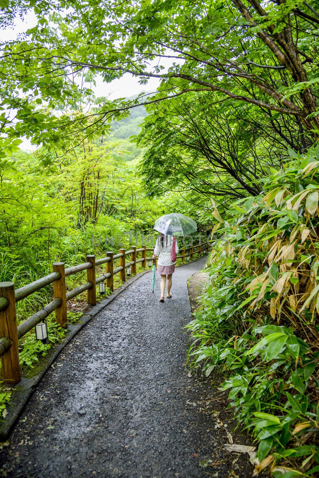 Lady with umbrella walk along the forest by gjeerawut