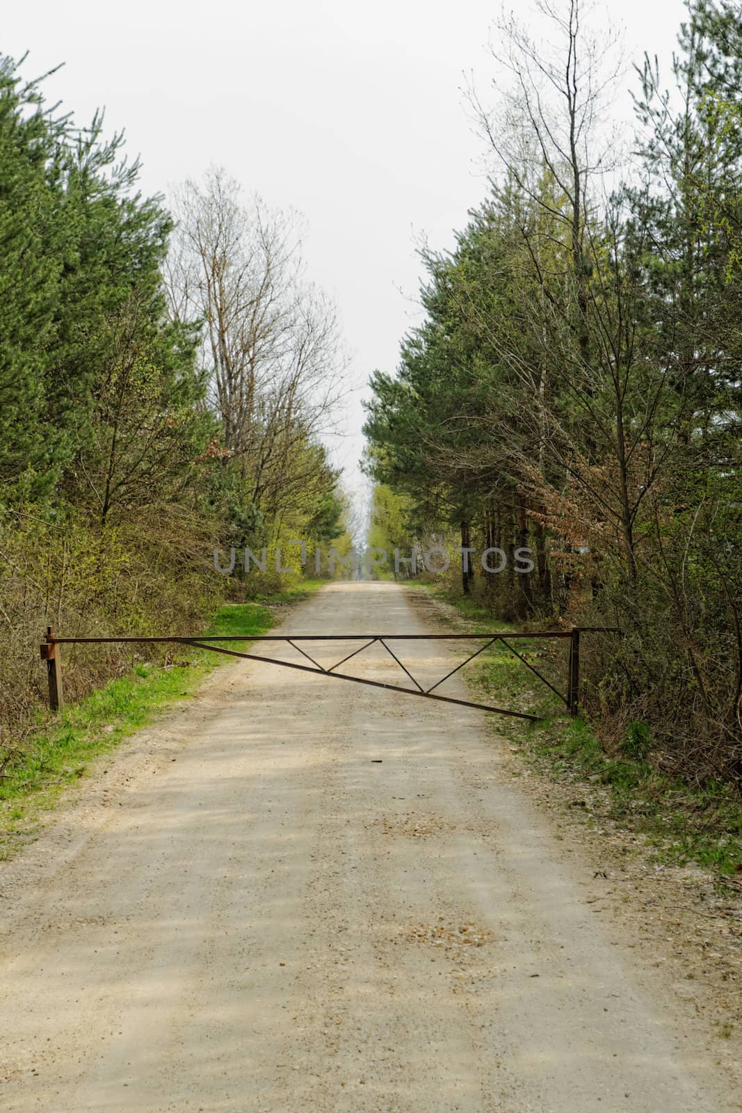 dirt road of the forest with barrier