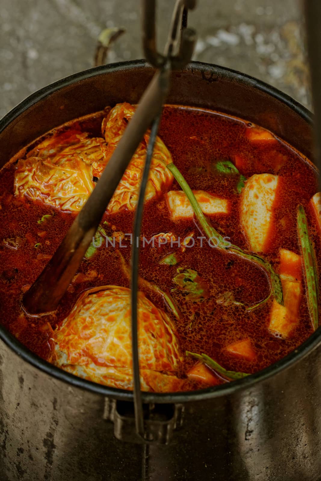 food cooking in stew pot in the nature