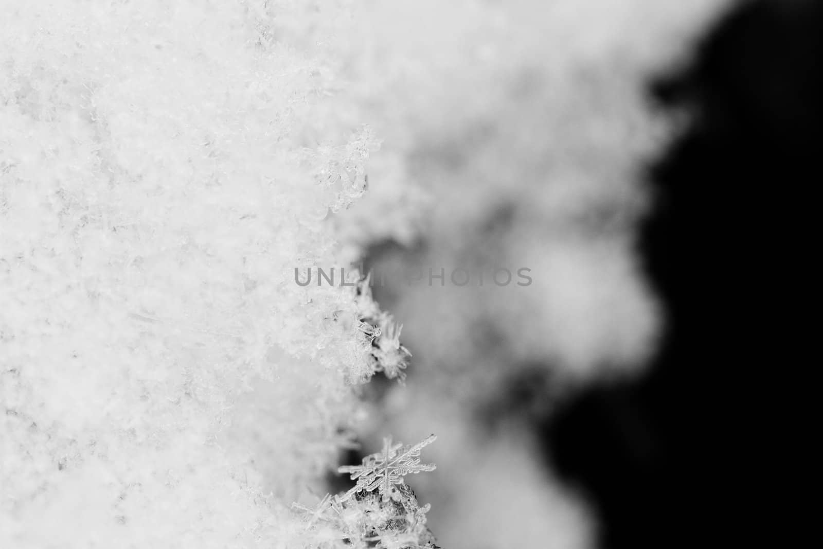 beauty white snowflake crystals on dark background