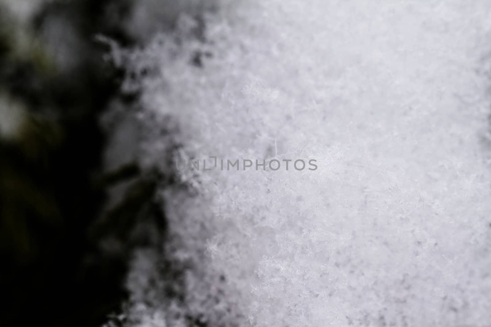 beauty white snowflake crystals on dark background