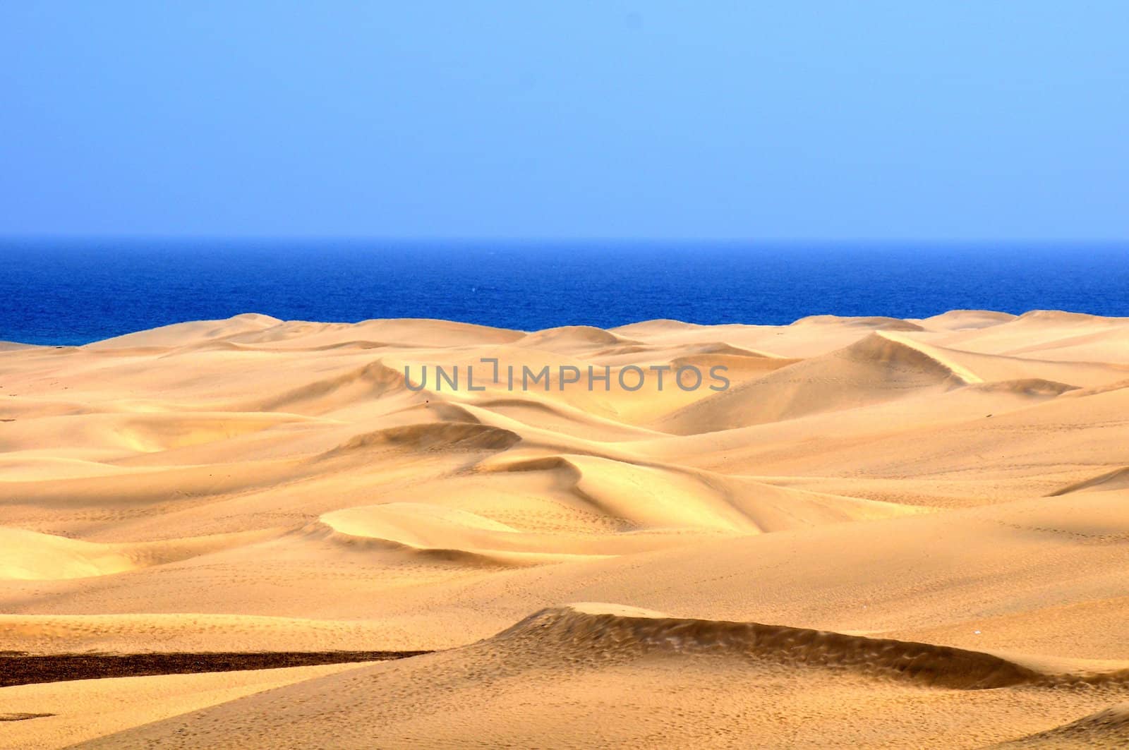 An Orange Sand Desert in Gran Canaria Island, Spain