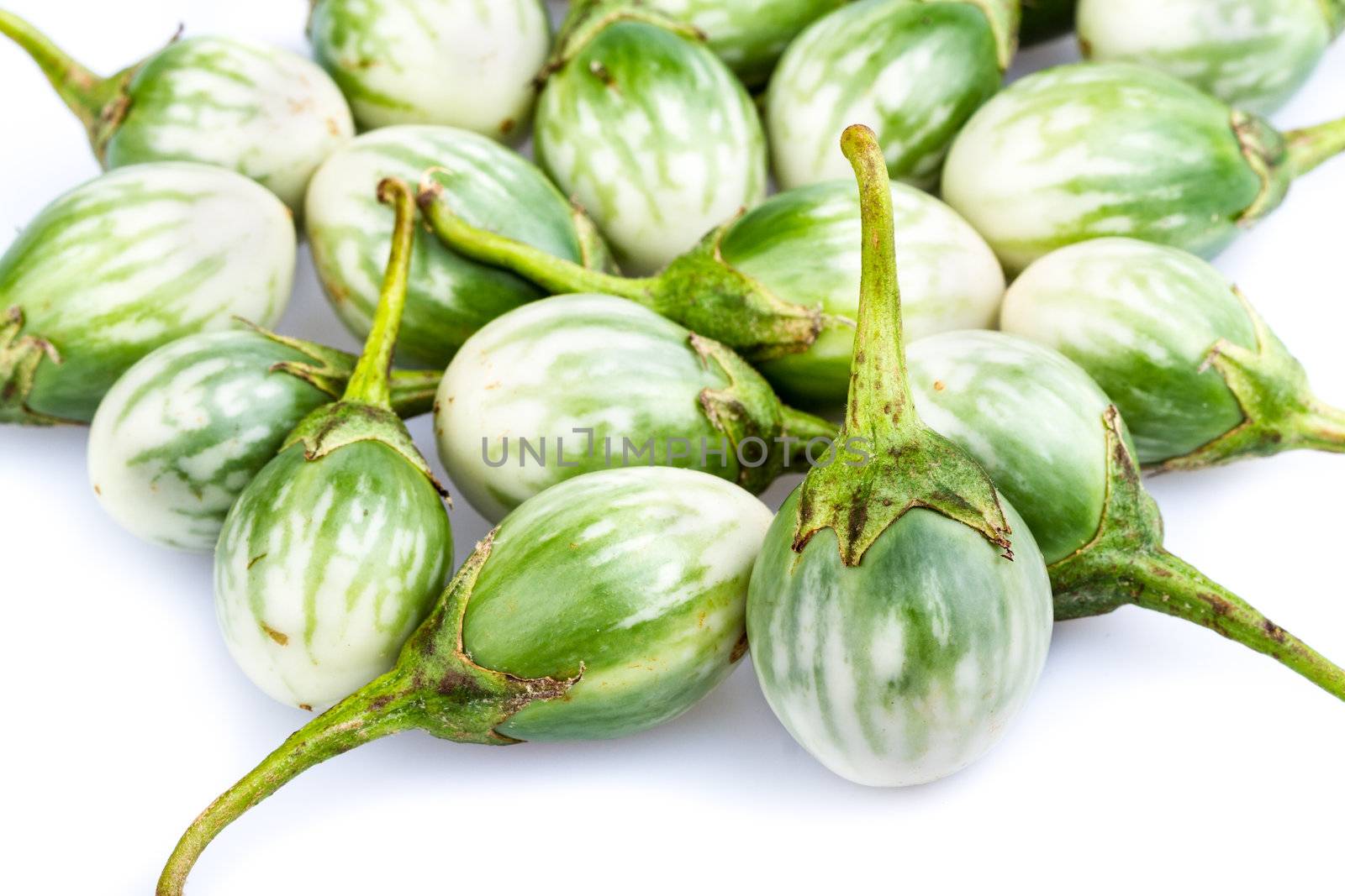 Pile of Small eggplant - CHIONATHUS PARKINONII