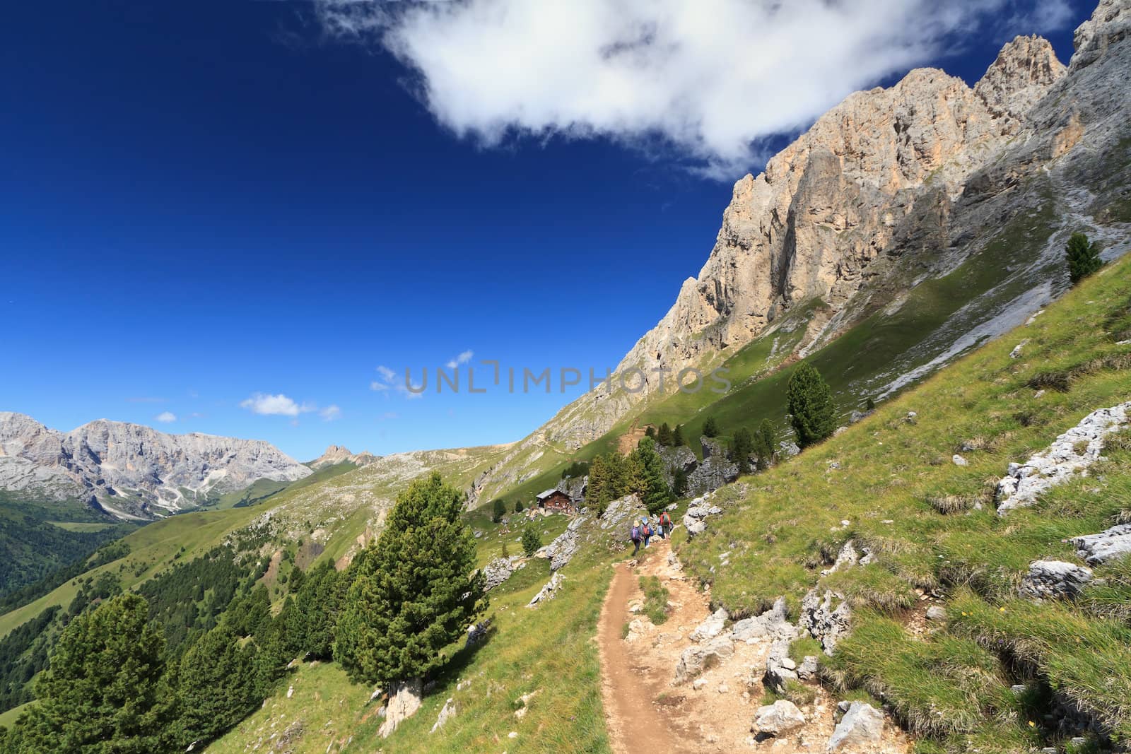 hike beneath Sassolungo mount in Val di Fassa, Trentino, Italy