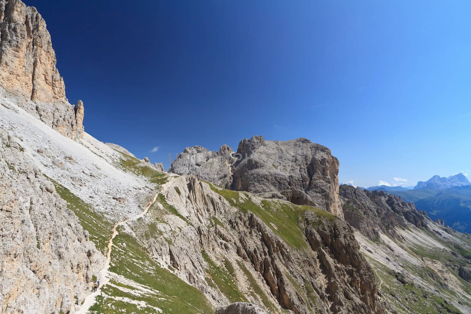 summer landscape on Catinaccio Dolomites, on background Mugoni mount