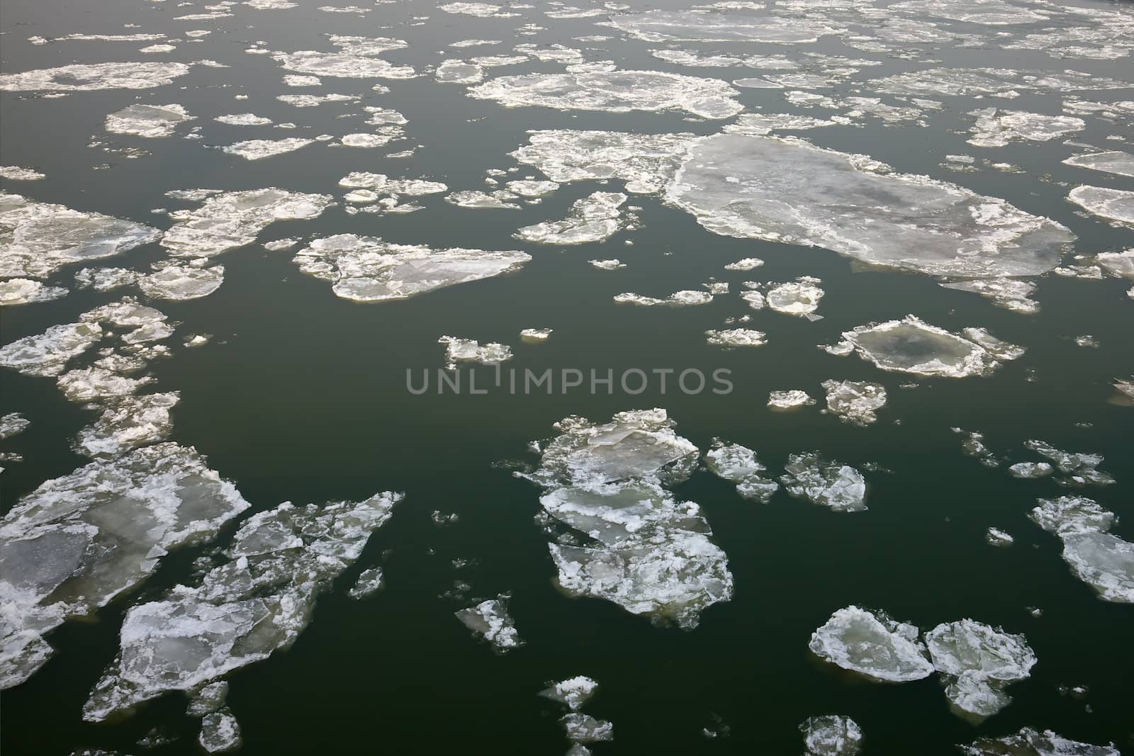 Ice sheets floating on the river