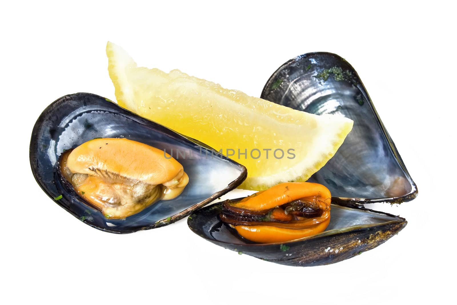lemon and two mussels boiled with parsley and garlic  isolated on white background