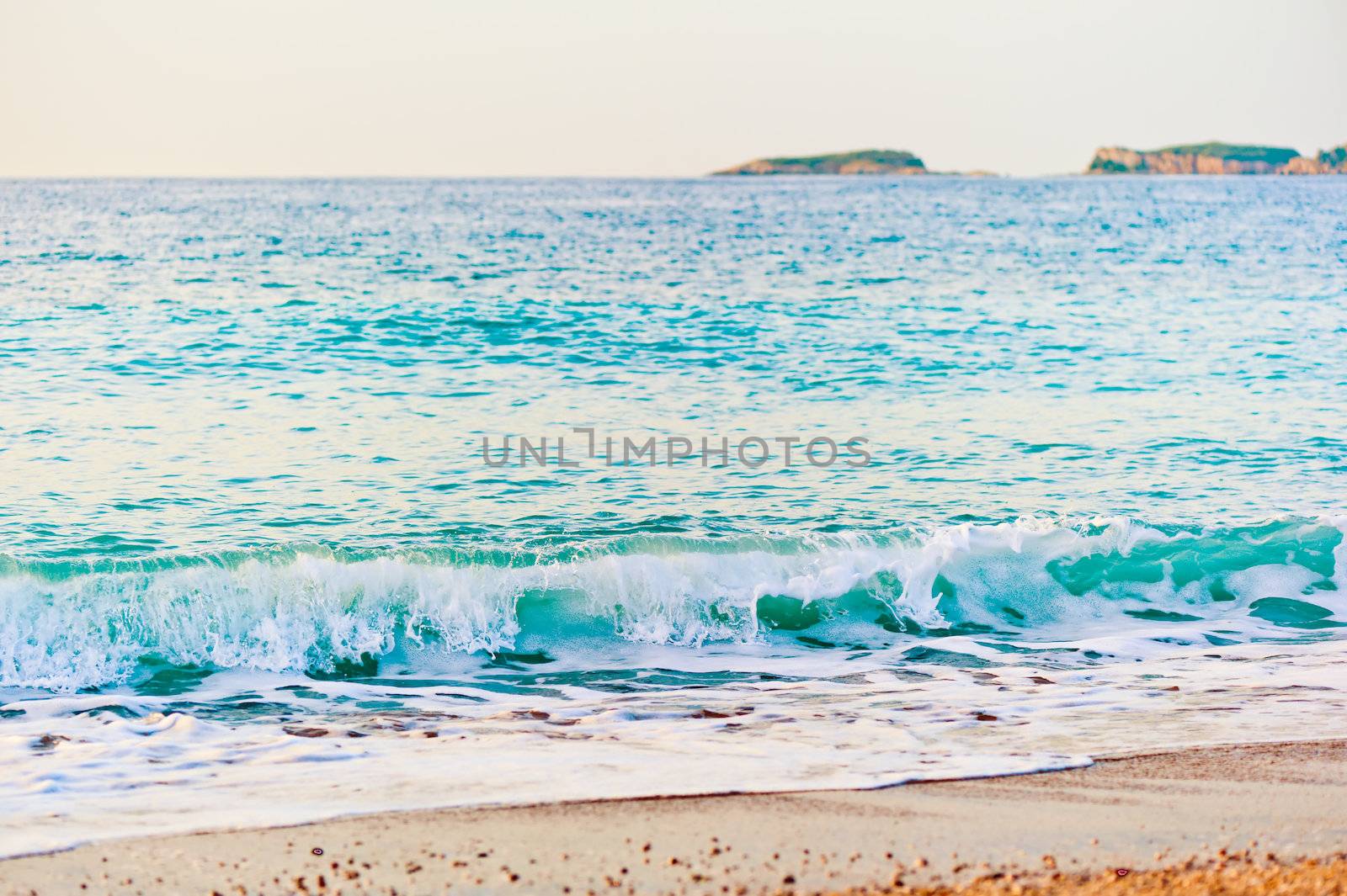 sea ​​wave is incident on the sandy beach at dawn