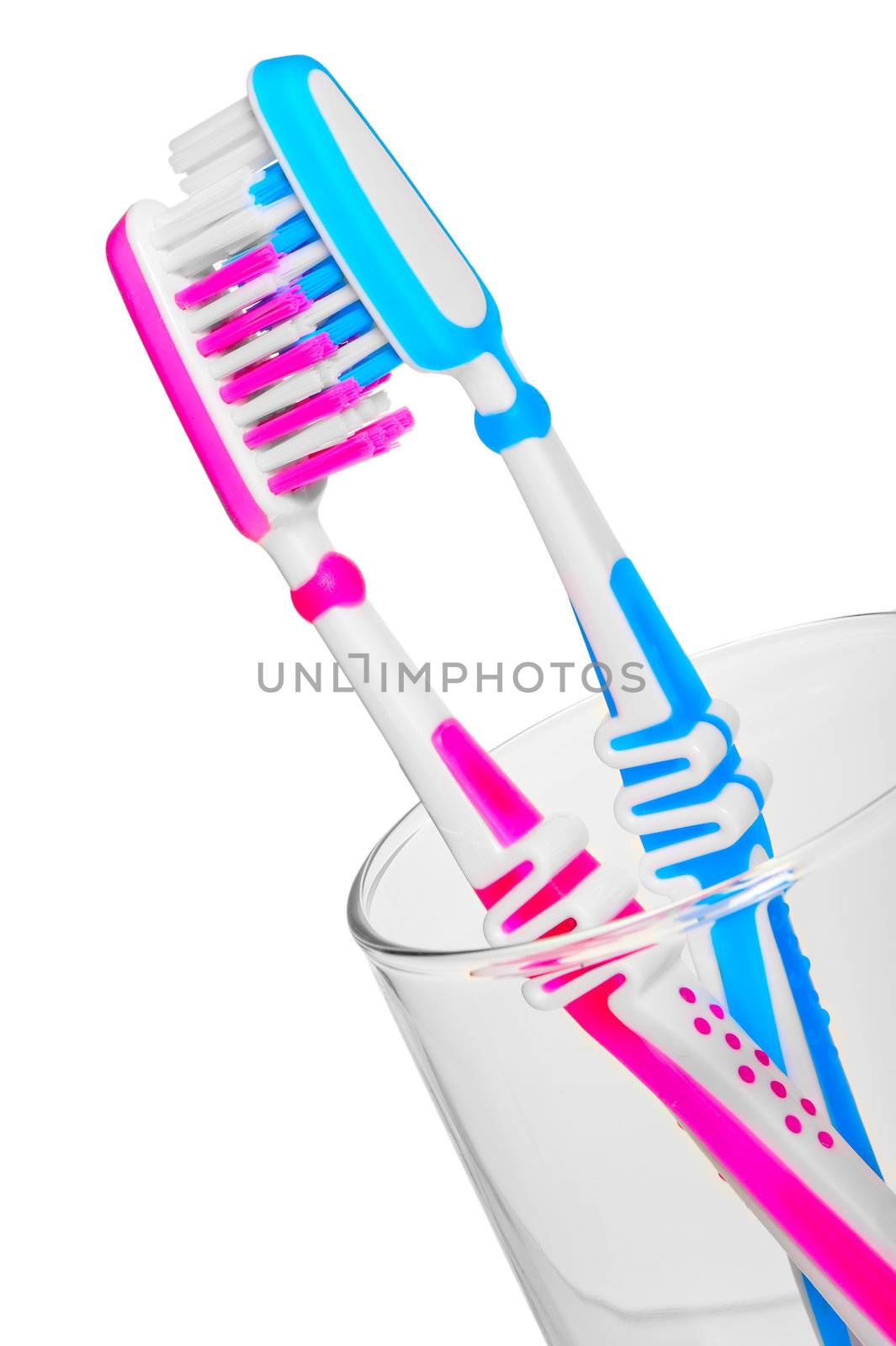 Kiss toothbrushes in a glass close up on a white background