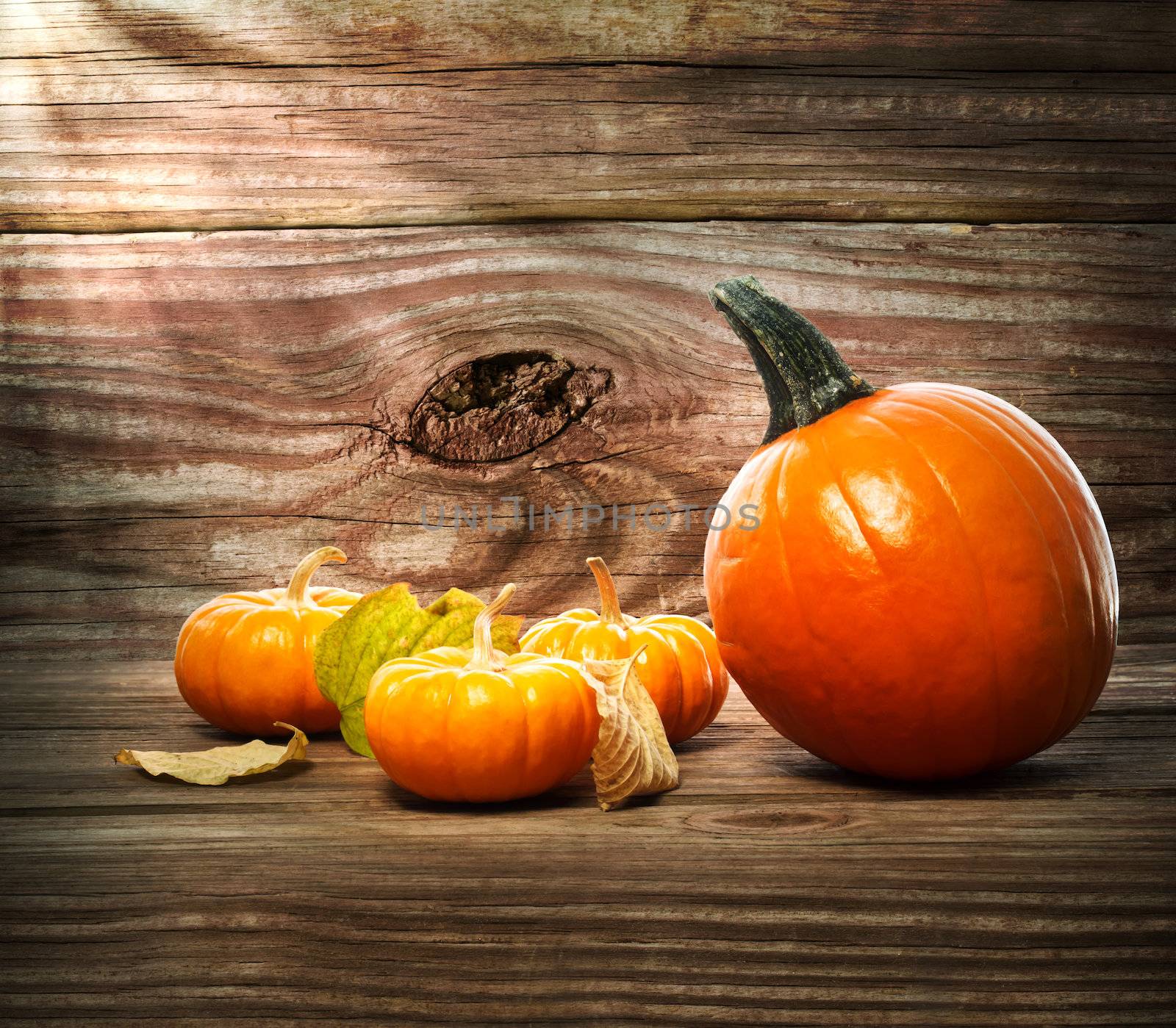 Pumpkins and squashes on rustic wooden boards with autumn leaves