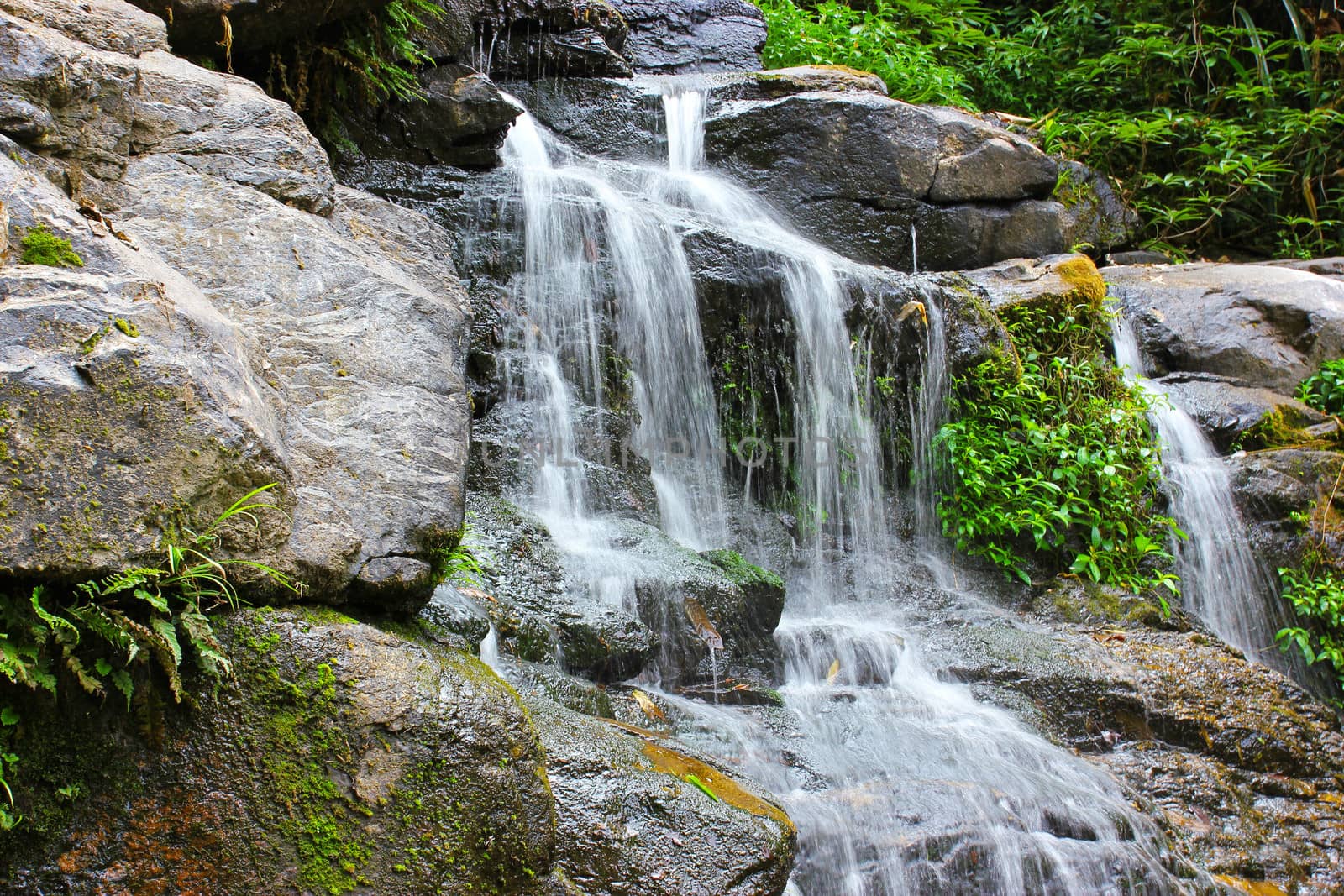 The water flowing from the mountains to the dry season