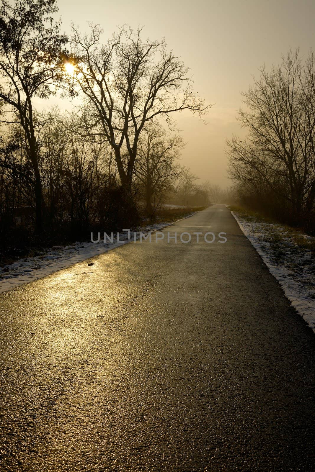 Long road through the winter countryside