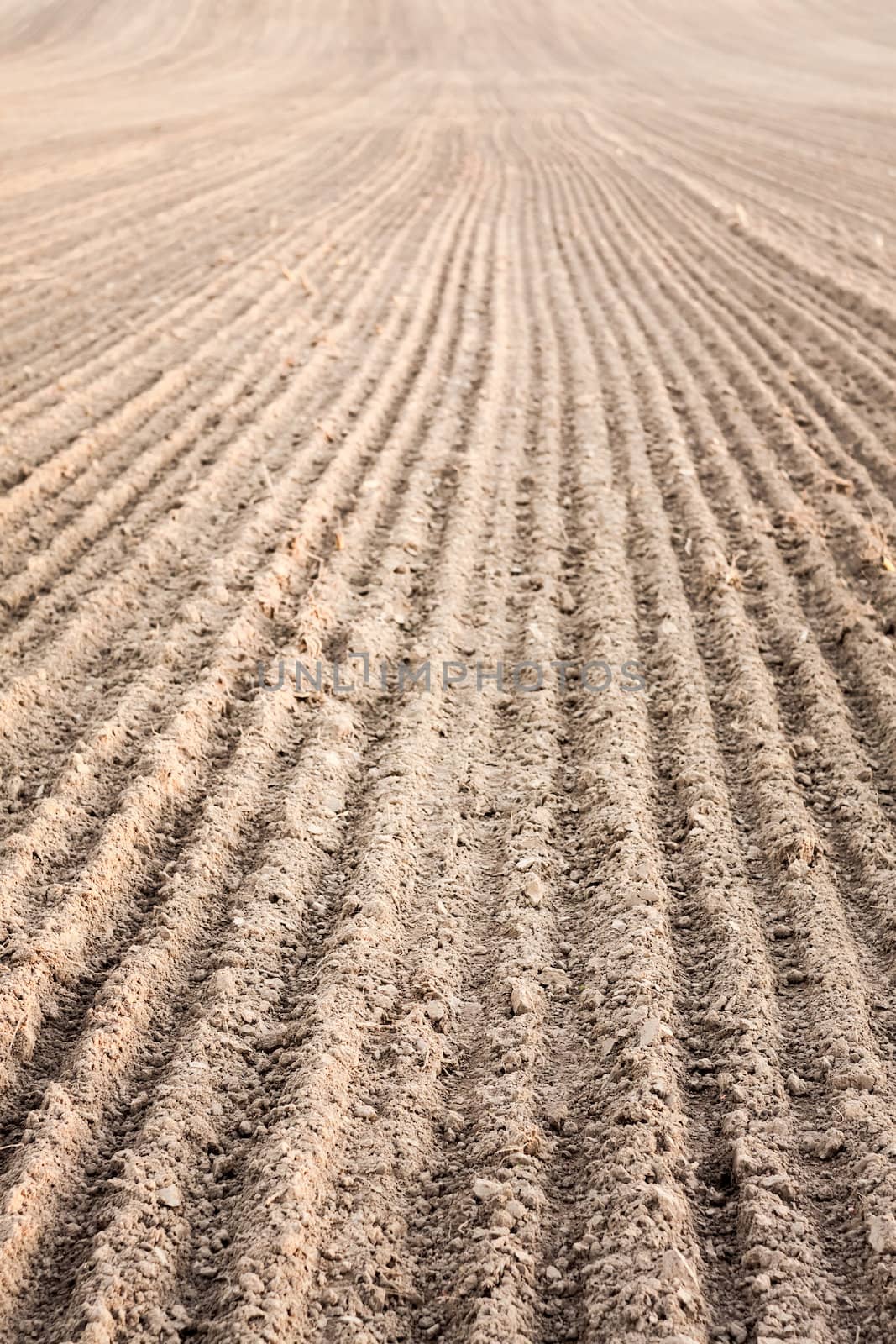 Furrows in a field after plowing it.  by ryhor