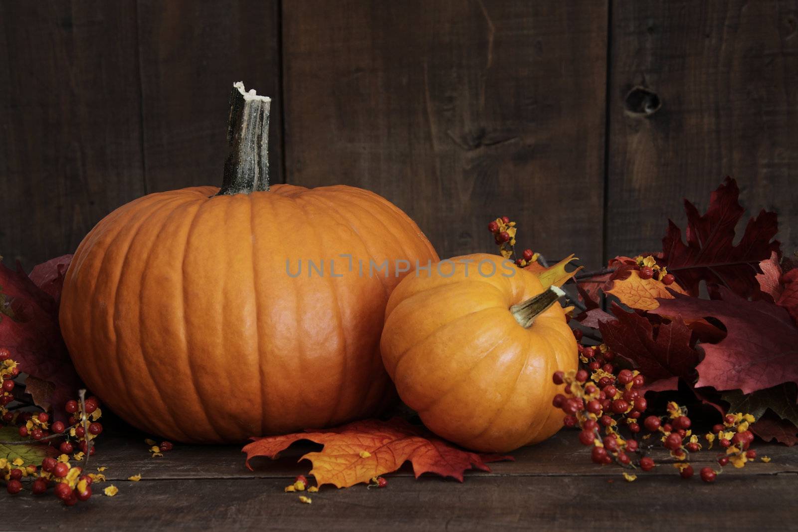 Small pumpkins on wood table