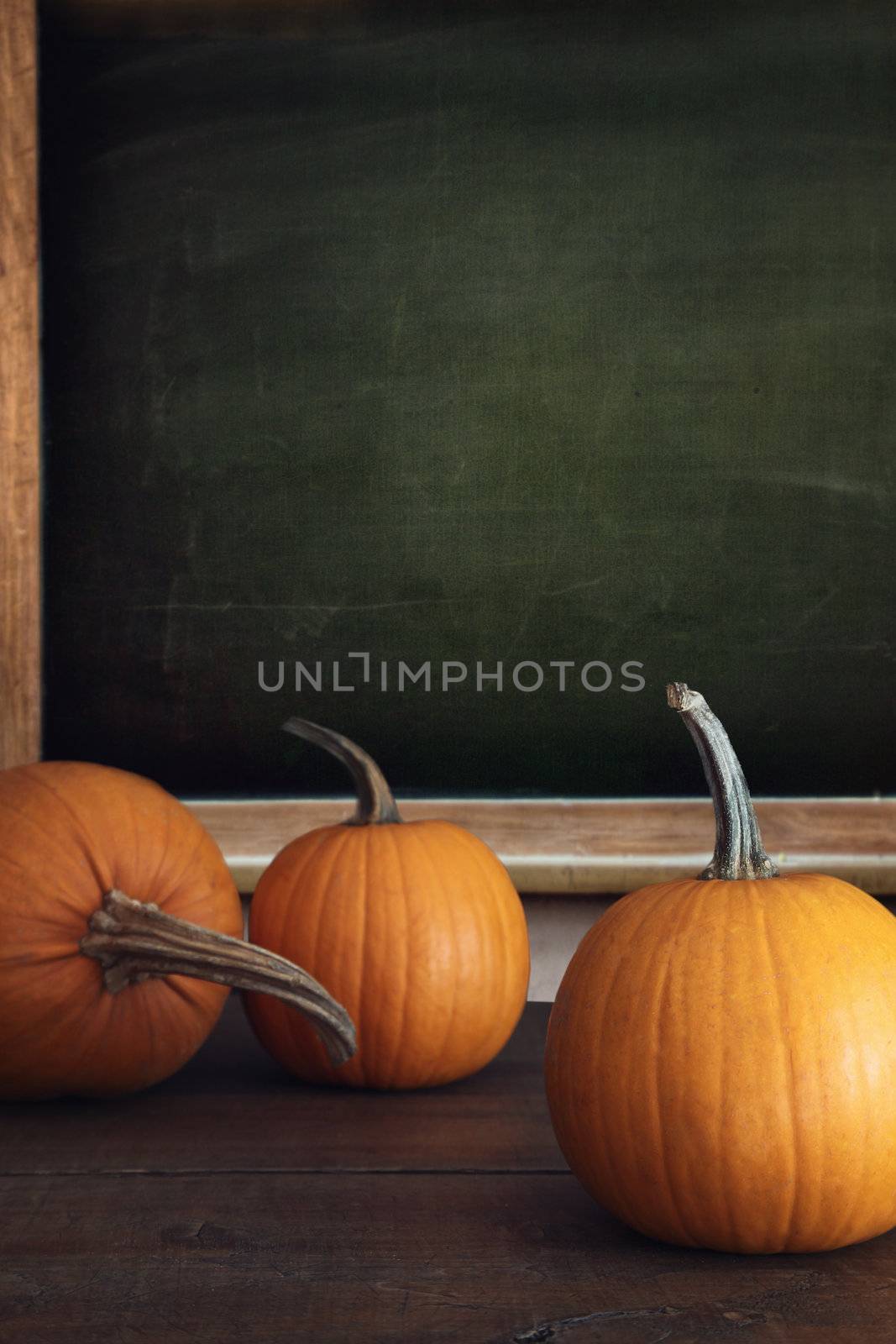 Pumpkins on table with menu board in background by Sandralise