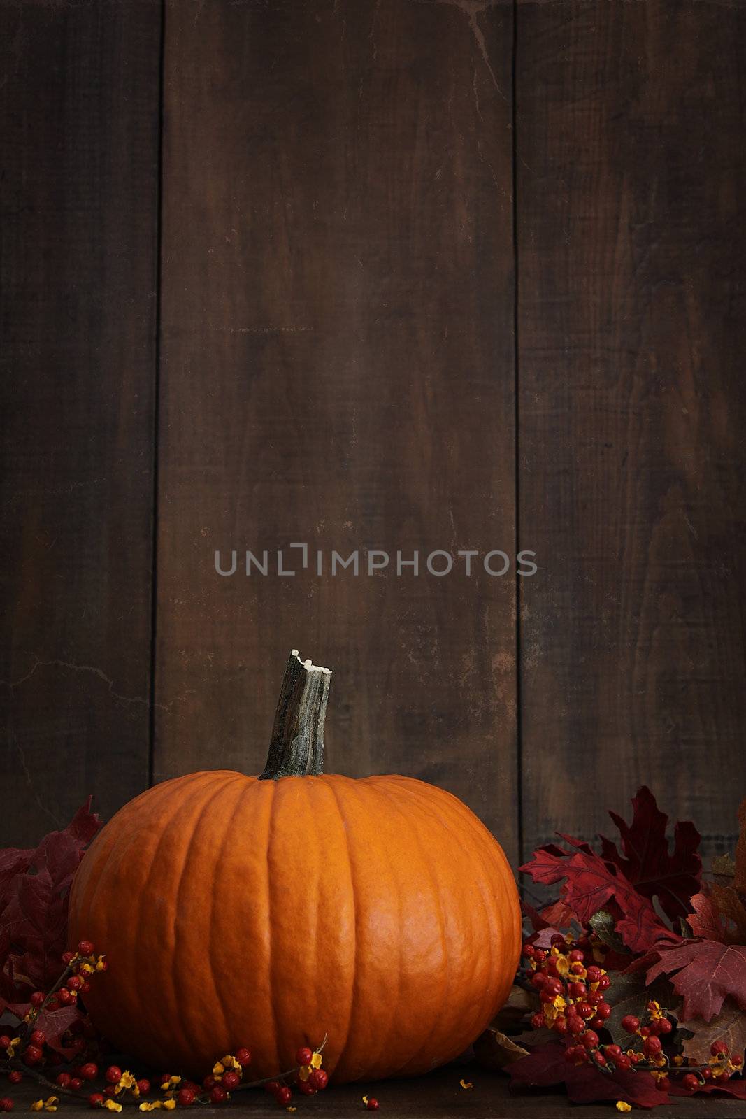 Large pumpkin with leaves against a wood background by Sandralise
