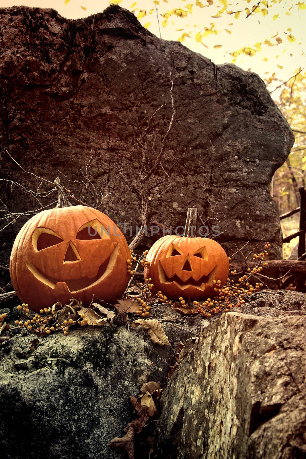 Halloween pumpkins on rocks with leaves and berries