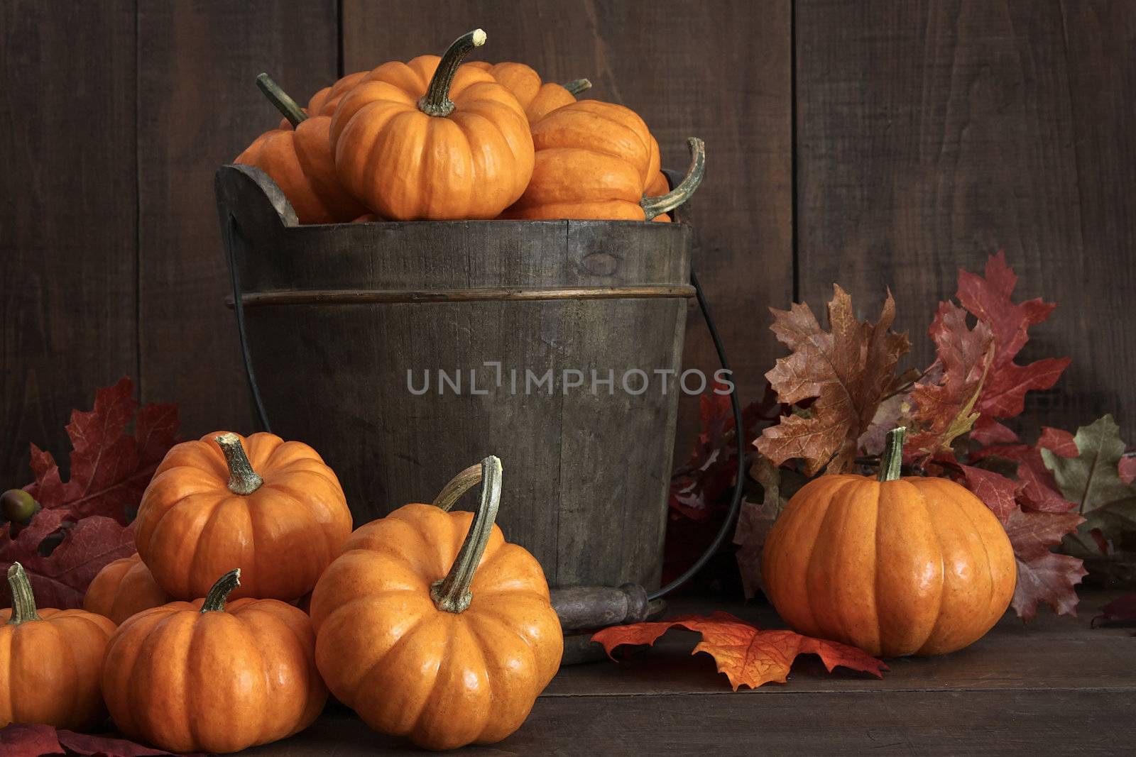 Tiny pumpkins in wooden bucket on table by Sandralise