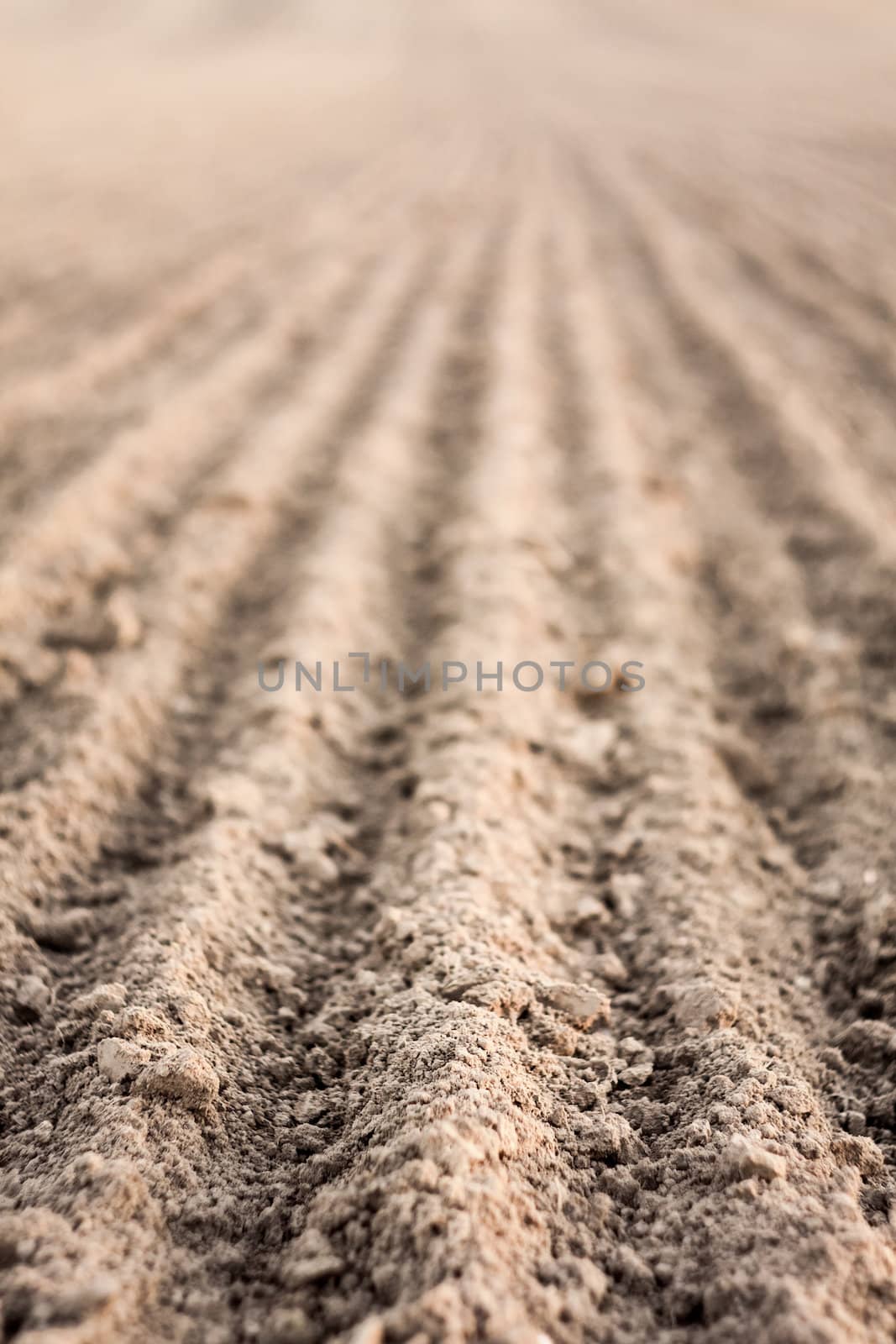 Background of newly plowed field ready for new crops. Ploughed field in autumn. Close focus farm, agricultural background