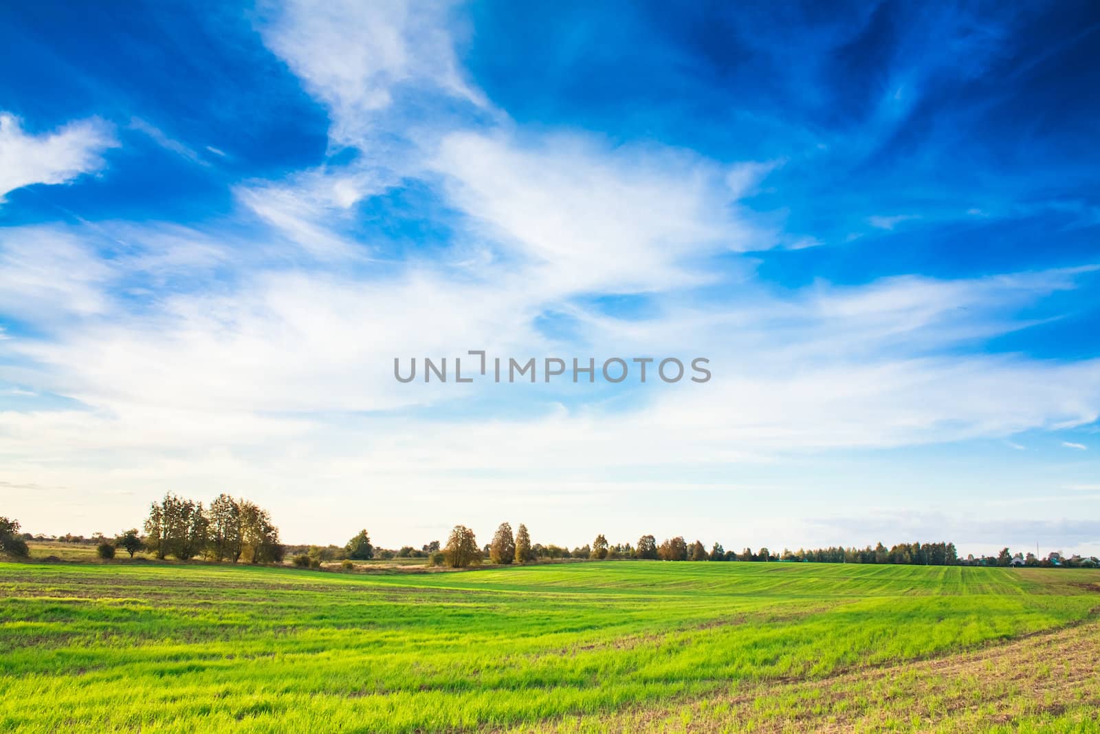 Green field and blue sky by ryhor