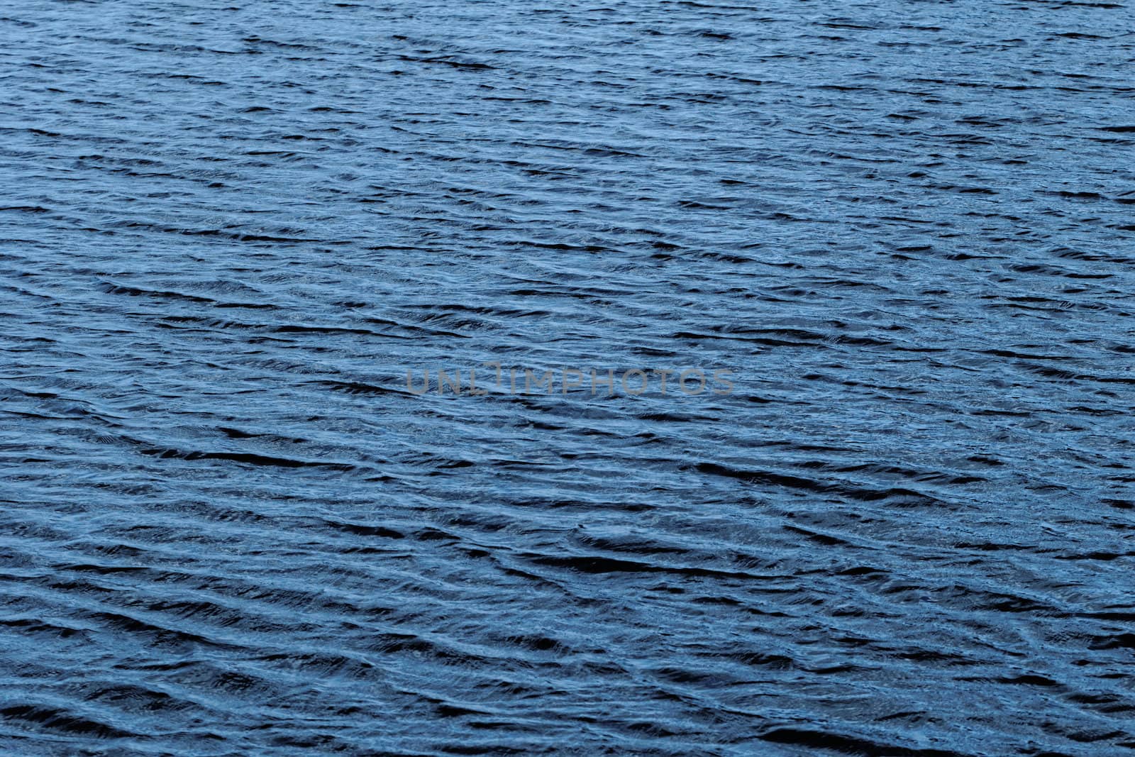 blue water surface on the wind
